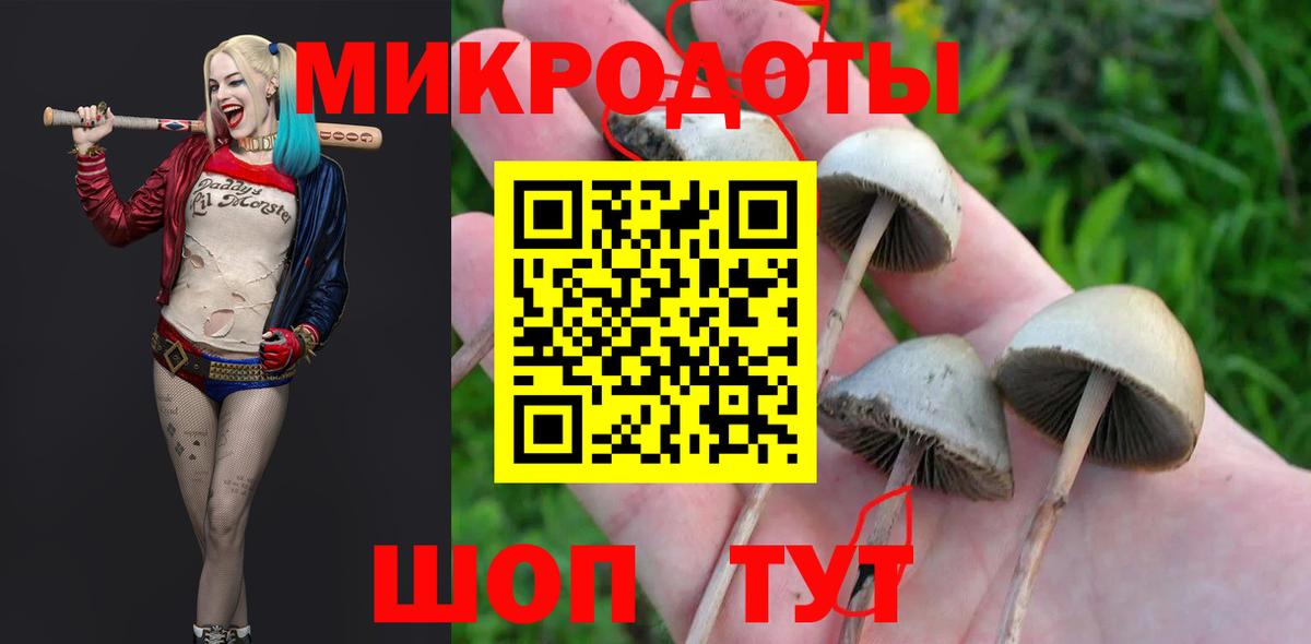 Ейск  Псилоцибиновые грибы прущие грибы  Псилоцибиновые грибы GOLDEN TEACHER  Вход с VPN 